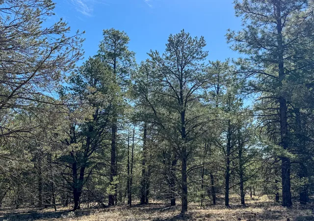 Homes for sale in Ramah, NM | Elk W Elk Dr, Ramah, NM 87321 | MLS# 1100806