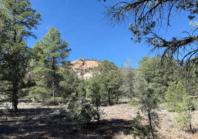 Homes for sale in Ramah, NM | Elk W Elk Dr, Ramah, NM 87321 | MLS# 1100806