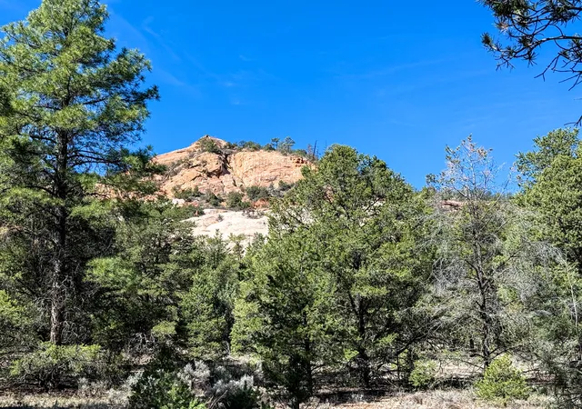 Homes for sale in Ramah, NM | Elk W Elk Dr, Ramah, NM 87321 | MLS# 1100806