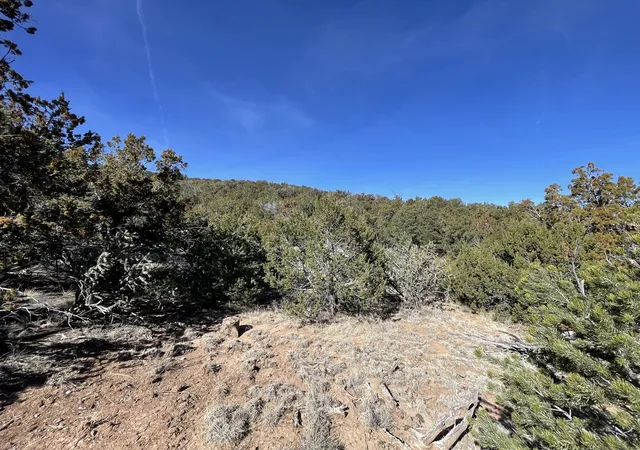 Photo 15 of Land for sale at 43 Canon Escondido Pl, Sandia Park, NM 87047 | MLS# 1100877 | Listing updated on 2026-07-21