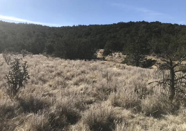 Photo 4 of Land for sale at 43 Canon Escondido Pl, Sandia Park, NM 87047 | MLS# 1100877 | Listing updated on 2026-07-21