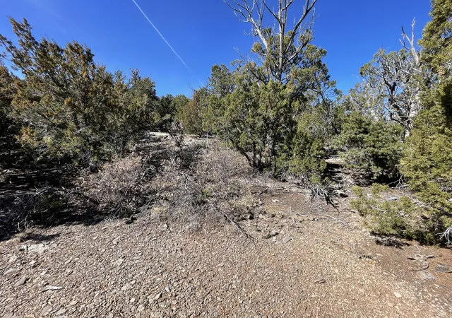 Photo 11 of Land for sale at 41 Canon Escondido Pl, Sandia Park, NM 87047 | MLS# 1100879 | Listing updated on 2026-07-21