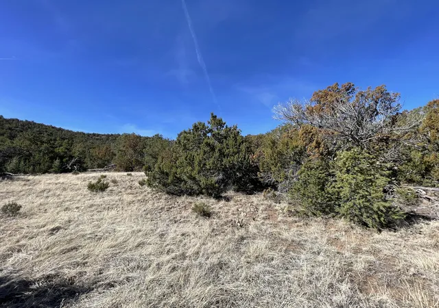 Photo 1 of Land for sale at 41 Canon Escondido Pl, Sandia Park, NM 87047 | MLS# 1100879 | Listing updated on 2026-07-21
