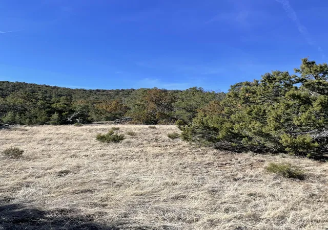 Photo 3 of Land for sale at 41 Canon Escondido Pl, Sandia Park, NM 87047 | MLS# 1100879 | Listing updated on 2026-07-21