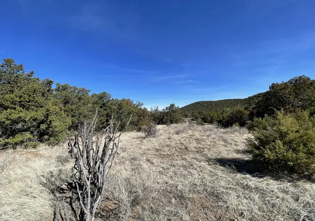 Photo 4 of Land for sale at 41 Canon Escondido Pl, Sandia Park, NM 87047 | MLS# 1100879 | Listing updated on 2026-07-21