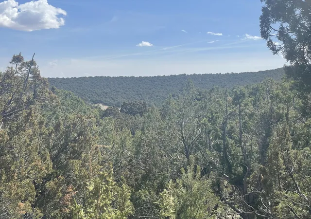Photo 14 of Land for sale at 31 Canon Escondido, Sandia Park, NM 87047 | MLS# 1100880 | Listing updated on 2026-07-21
