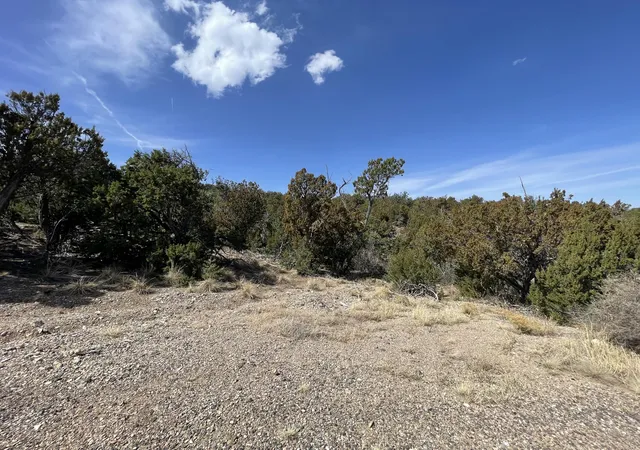 Photo 1 of Land for sale at 31 Canon Escondido, Sandia Park, NM 87047 | MLS# 1100880 | Listing updated on 2026-07-21