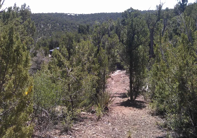 Photo 3 of Land for sale at 31 Canon Escondido, Sandia Park, NM 87047 | MLS# 1100880 | Listing updated on 2026-07-21