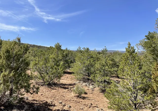Photo 16 of Land for sale at 29 Canon Escondido, Sandia Park, NM 87047 | MLS# 1100881 | Listing updated on 2026-07-21