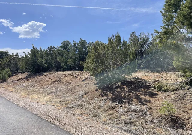 Photo 3 of Land for sale at 29 Canon Escondido, Sandia Park, NM 87047 | MLS# 1100881 | Listing updated on 2026-07-21