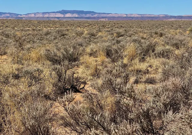 Homes for sale in Los Lunas, NM | S: 36 T: 7n R: 1w Lot 17, Los Lunas, NM 87031 | MLS# 1100882
