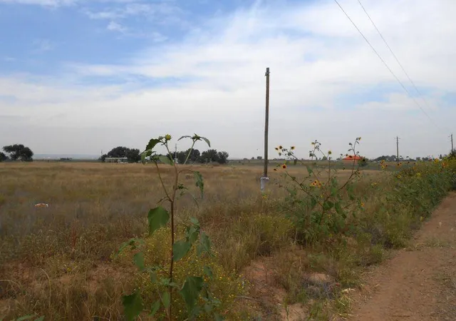 Photo 1 of Land for sale at Lot 7 E, Teresa Ln, Moriarty, NM 87035 | MLS# 1101202 | Listing updated on 2026-07-21