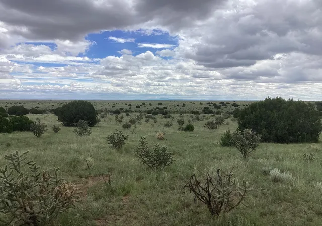 Photo 1 of Land for sale at Mission Hills Rd Tract E, Estancia, NM 87016 | MLS# 1101277 | Listing updated on 2026-07-21