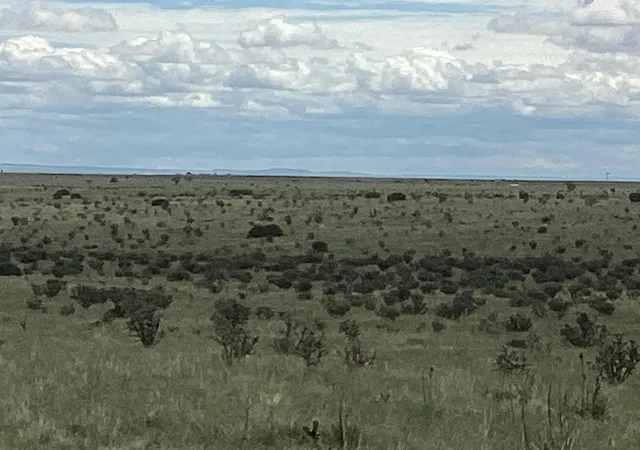 Photo 4 of Land for sale at Mission Hills Rd Tract E, Estancia, NM 87016 | MLS# 1101277 | Listing updated on 2026-07-21