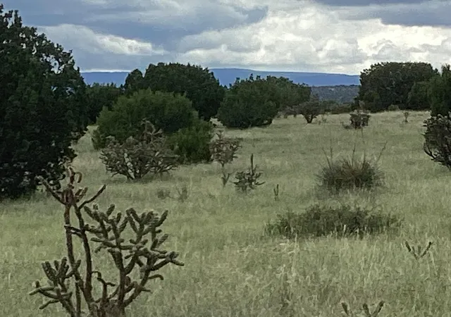 Photo 5 of Land for sale at Mission Hills Rd Tract E, Estancia, NM 87016 | MLS# 1101277 | Listing updated on 2026-07-21