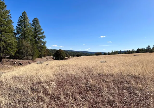 Homes for sale in Ramah, NM | Lot 9 Juniper Dr, Ramah, NM 87321 | MLS# 1101320