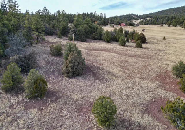 Homes for sale in Ramah, NM | Lot 9 Juniper Dr, Ramah, NM 87321 | MLS# 1101320