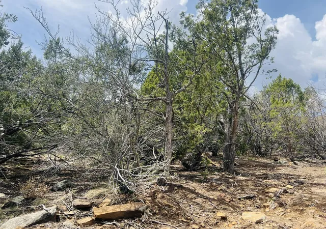 26th image of 9 Boulder Ln, Cedar Crest, NM 87008 | MLS# 1101324
