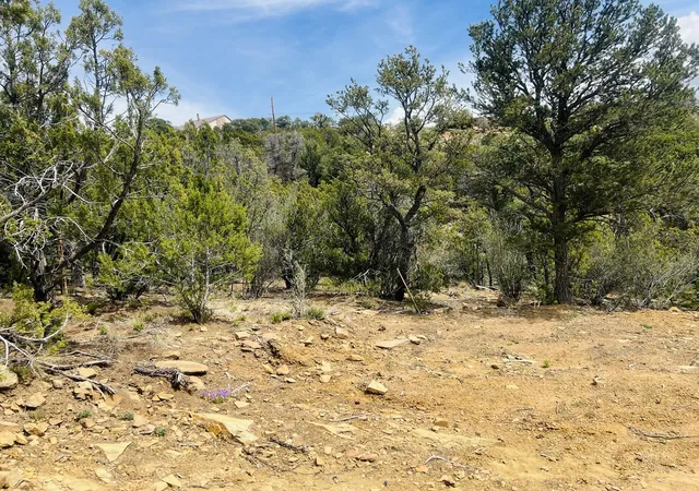 5th image of 9 Boulder Ln, Cedar Crest, NM 87008 | MLS# 1101324