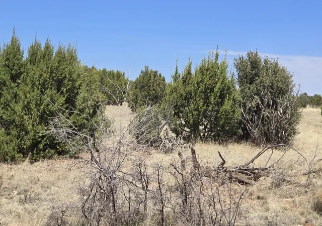 Photo 5 of Land for sale at 0 Lakewood Rd #16, Estancia, NM 87016 | MLS# 1101330 | Listing updated on 2026-07-22