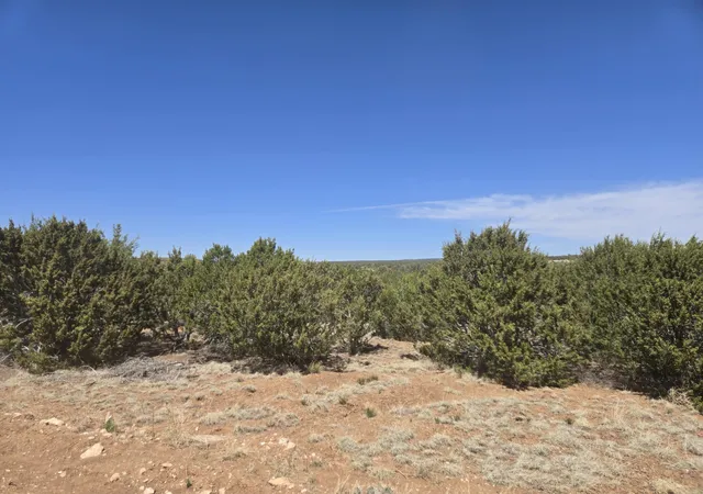 Photo 8 of Land for sale at 0 Lakewood Rd #16, Estancia, NM 87016 | MLS# 1101330 | Listing updated on 2026-07-22