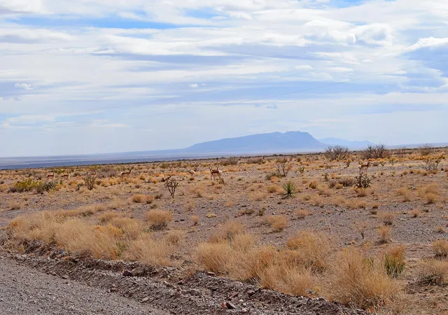 Photo 1 of Land for sale at Lot 124 Rolling Hills, San Antonio, NM 87832 | MLS# 1101391 | Listing updated on 2026-07-22