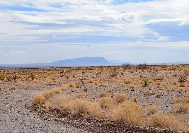 Photo 3 of Land for sale at Lot 124 Rolling Hills, San Antonio, NM 87832 | MLS# 1101391 | Listing updated on 2026-07-22