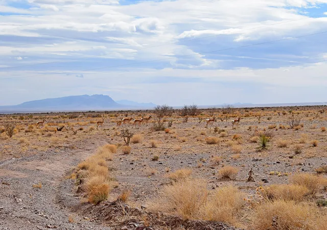 Photo 3 of Land for sale at Lot 124 Rolling Hills, San Antonio, NM 87832 | MLS# 1101391 | Listing updated on 2026-07-22