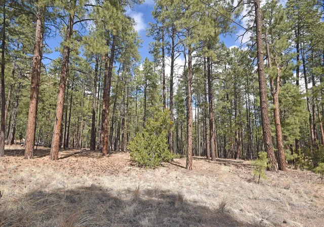 17th image of Lot 49 A Cool Pines, Jemez Springs, NM 87025 | MLS# 1101405