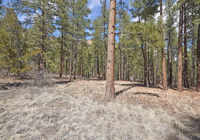 1st image of Lot 49 A Cool Pines, Jemez Springs, NM 87025 | MLS# 1101405