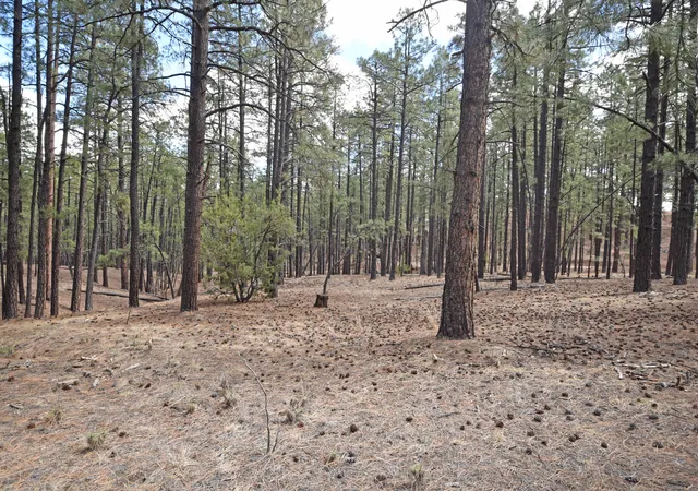2nd image of Lot 49 A Cool Pines, Jemez Springs, NM 87025 | MLS# 1101405
