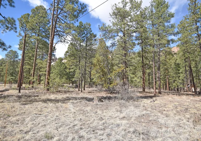 Photo 3 of Sale Pending at Lot 49 A Cool Pines, Jemez Springs, NM 87025 | MLS# 1101405 | Listing updated on 2026-08-26
