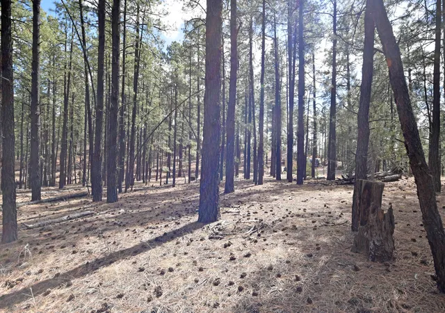 Photo 3 of Sale Pending at Lot 49 A Cool Pines, Jemez Springs, NM 87025 | MLS# 1101405 | Listing updated on 2026-08-26