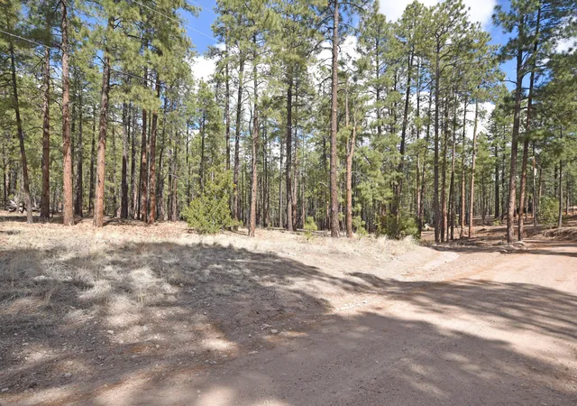 Photo 4 of Sale Pending at Lot 49 A Cool Pines, Jemez Springs, NM 87025 | MLS# 1101405 | Listing updated on 2026-08-26