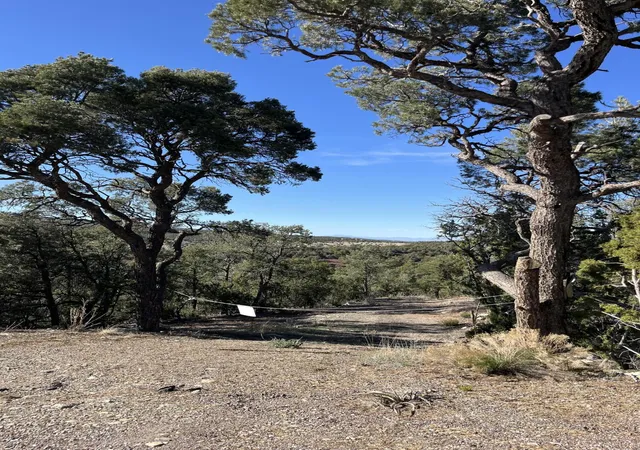 Photo 2 of Land for sale at 31 Camino Del Poniente, Tijeras, NM 87059 | MLS# 1101422 | Listing updated on 2026-07-21