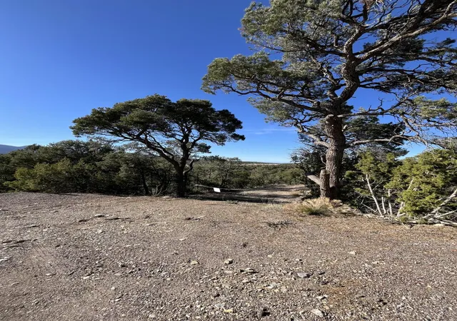 Photo 2 of Land for sale at 31 Camino Del Poniente, Tijeras, NM 87059 | MLS# 1101422 | Listing updated on 2026-07-21