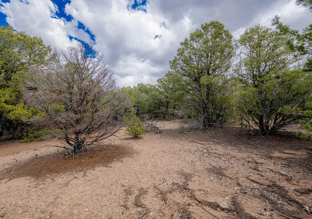 Photo 3 of Land for sale at 6 Coila Ct, Tijeras, NM 87059 | MLS# 1101440 | Listing updated on 2026-07-22