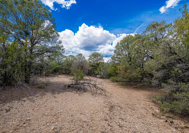 Photo 4 of Land for sale at 6 Coila Ct, Tijeras, NM 87059 | MLS# 1101440 | Listing updated on 2026-07-22