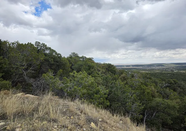 Photo 1 of Land for sale at 196 Via Sedillo Rd, Tijeras, NM 87059 | MLS# 1101448 | Listing updated on 2026-07-22