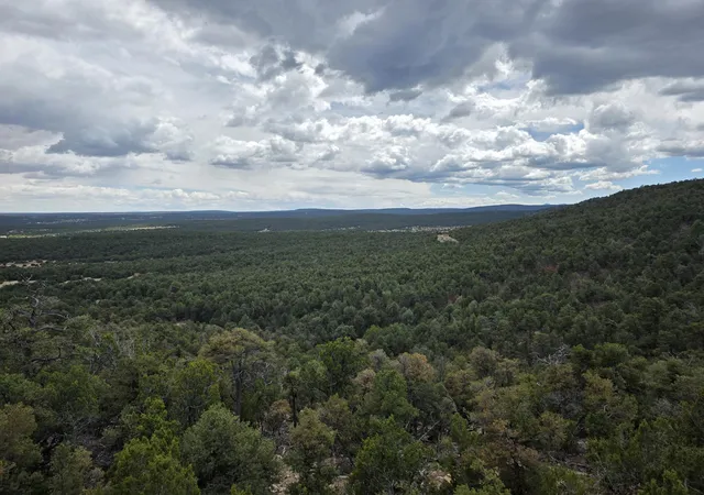 Photo 2 of Land for sale at 196 Via Sedillo Rd, Tijeras, NM 87059 | MLS# 1101448 | Listing updated on 2026-07-22