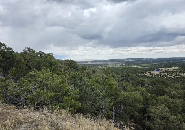 Photo 2 of Land for sale at 196 Via Sedillo Rd, Tijeras, NM 87059 | MLS# 1101448 | Listing updated on 2026-07-22