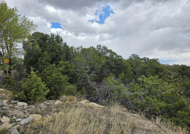 Photo 3 of Land for sale at 196 Via Sedillo Rd, Tijeras, NM 87059 | MLS# 1101448 | Listing updated on 2026-07-22