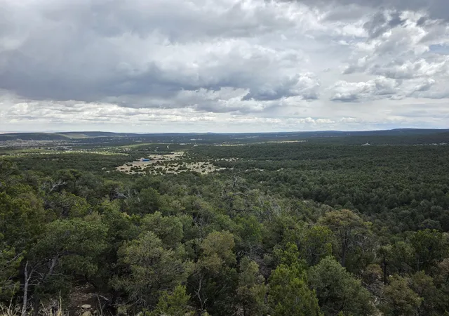 Photo 5 of Land for sale at 196 Via Sedillo Rd, Tijeras, NM 87059 | MLS# 1101448 | Listing updated on 2026-07-22