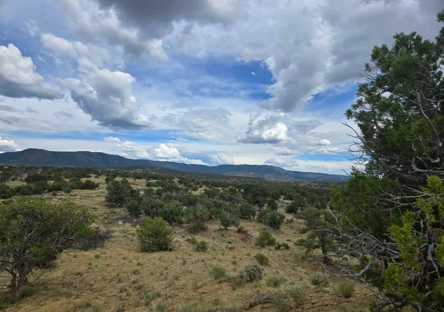 Photo 1 of Land for sale at 469 Co Rd 11, Jemez Springs, NM 87025 | MLS# 1101518 | Listing updated on 2026-08-13