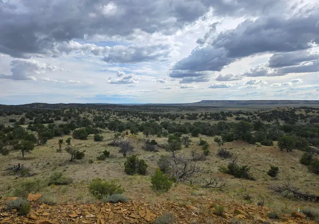 Photo 2 of Land for sale at 469 Co Rd 11, Jemez Springs, NM 87025 | MLS# 1101518 | Listing updated on 2026-08-13