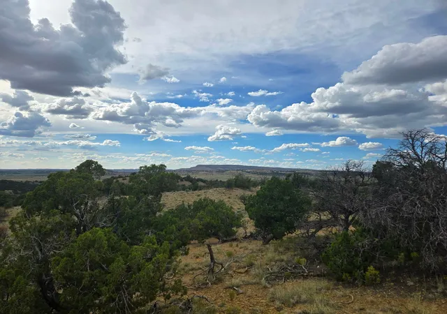 Photo 3 of Land for sale at 469 Co Rd 11, Jemez Springs, NM 87025 | MLS# 1101518 | Listing updated on 2026-08-13