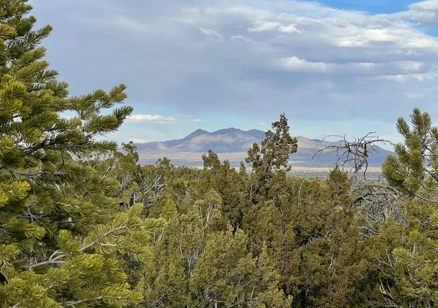 Photo 4 of Land for sale at 1 Arroyo Bonito, Sandia Park, NM 87047 | MLS# 1101552 | Listing updated on 2026-04-12