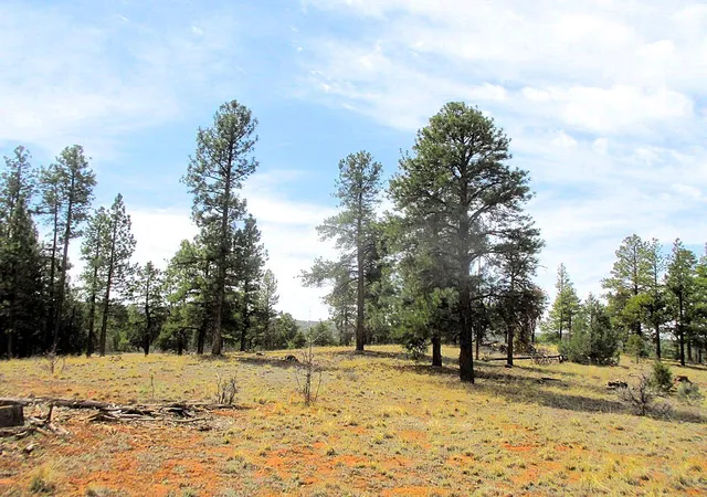 Photo 1 of Sale Pending at Forest Rd 157, Ramah, NM 87321 | MLS# 1101733 | Listing updated on 2026-08-27