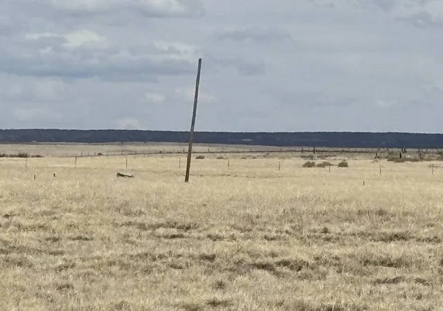 Photo 3 of Land for sale at Parker Way, Moriarty, NM 87035 | MLS# 1101776 | Listing updated on 2026-08-22
