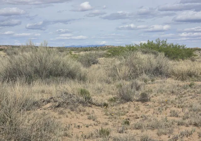 Homes for sale in Bernardo, NM | Vl Rdb Lot: 6 Block 5 #2, Bernardo, NM 87006 | MLS# 1101828
